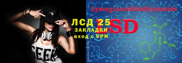 хмурый Аркадак