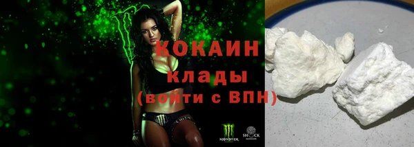 хмурый Аркадак