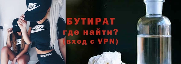 хмурый Аркадак