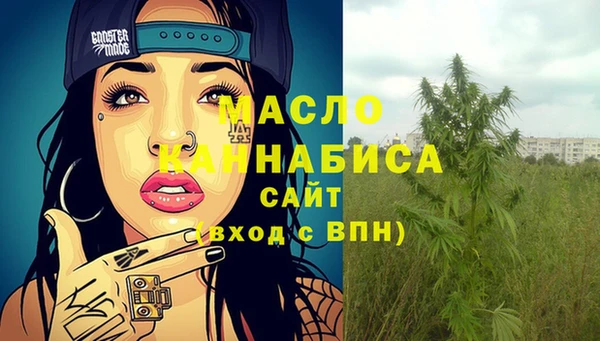 сатива Армянск