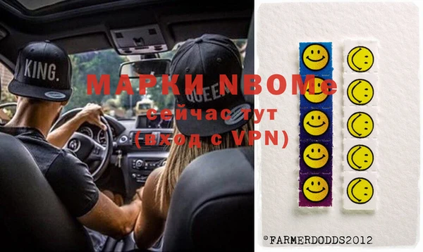 хмурый Аркадак
