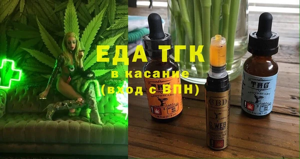 хмурый Аркадак