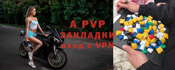 хмурый Аркадак