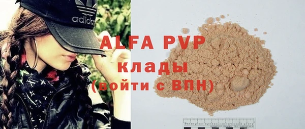 хмурый Аркадак