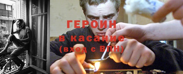 хмурый Аркадак