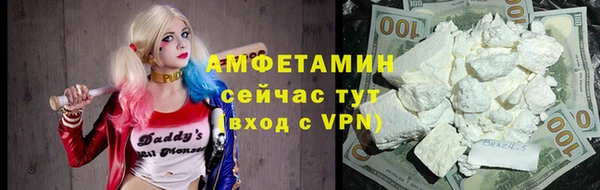 хмурый Аркадак