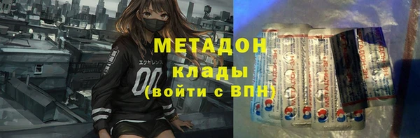хмурый Аркадак