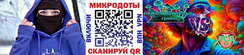 Галлюциногенные грибы прущие грибы  закладка  Клин 