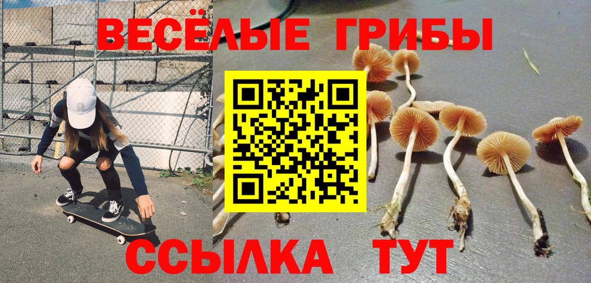Псилоцибиновые грибы прущие грибы Клин